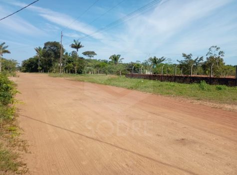 WhatsApp Image 2025-08-05 at 10.31.50