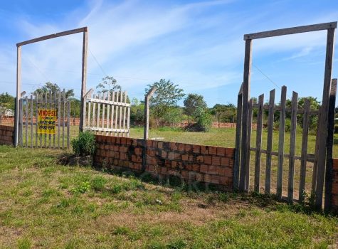 WhatsApp Image 2025-08-05 at 10.31.51