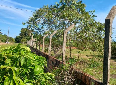 WhatsApp Image 2025-08-05 at 10.31.52