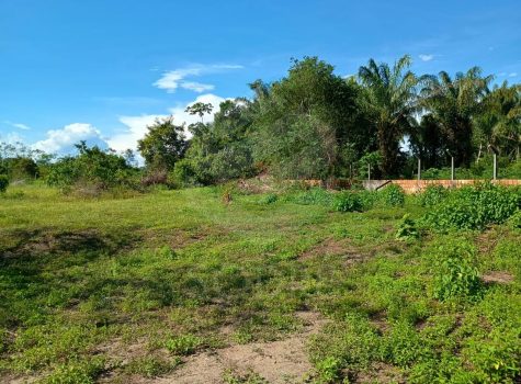 WhatsApp Image 2025-08-05 at 10.32.28