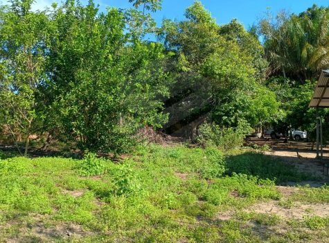 WhatsApp Image 2025-08-05 at 10.32.29