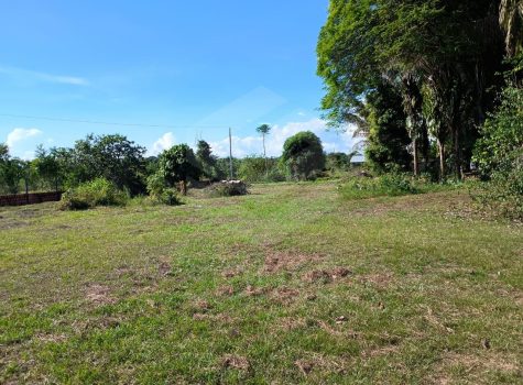 WhatsApp Image 2025-08-05 at 10.32.31 (1)