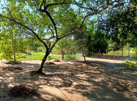 WhatsApp Image 2025-08-05 at 10.32.31 (2)