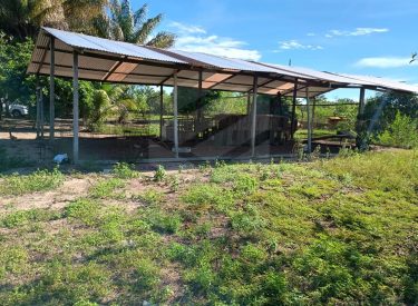 WhatsApp Image 2025-08-05 at 10.32.31