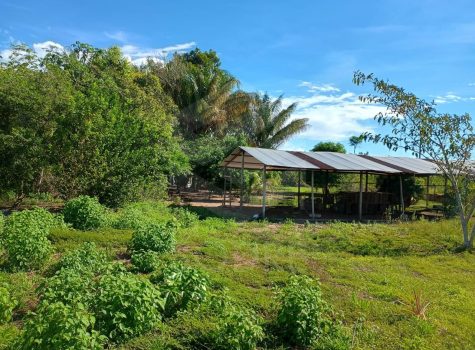 WhatsApp Image 2025-08-05 at 10.32.32