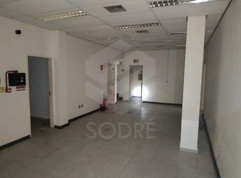 WhatsApp Image 2025-09-09 at 14.35.43 (1)