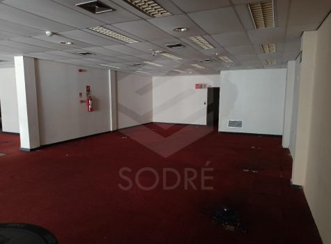 WhatsApp Image 2025-09-09 at 14.35.44 (1)