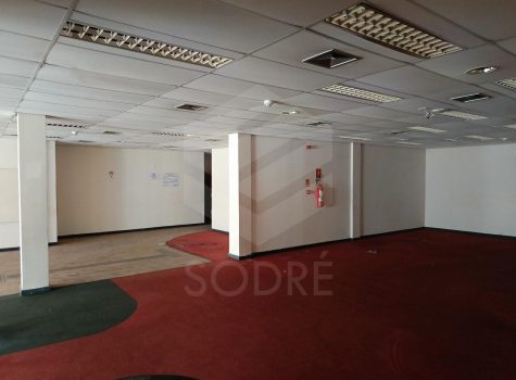 WhatsApp Image 2025-09-09 at 14.35.45