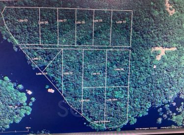 WhatsApp Image 2025-09-24 at 11.42.50