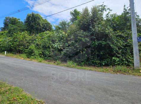 WhatsApp Image 2026-01-09 at 20.49.13 (1)