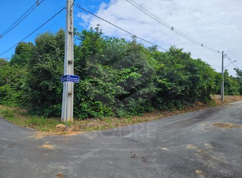 WhatsApp Image 2026-01-09 at 20.49.13